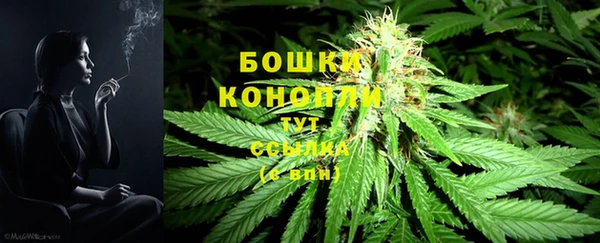 амф Михайловск