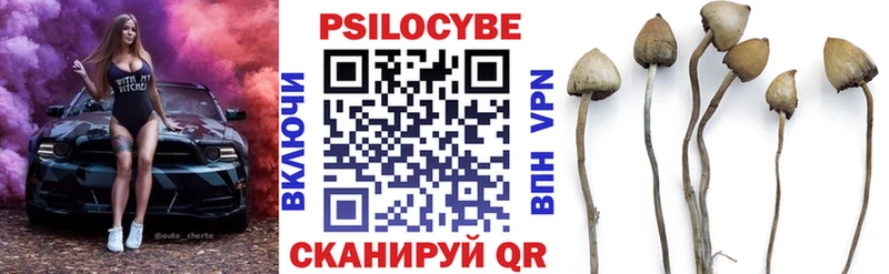 Псилоцибиновые грибы Magic Shrooms  Купить  Барнаул 